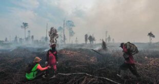 Warta Bandung Barat|Peringatan BNPB: Ancaman Ganda saat Kemarau Basah – Gabungan Bencana Semakin Membahayakan