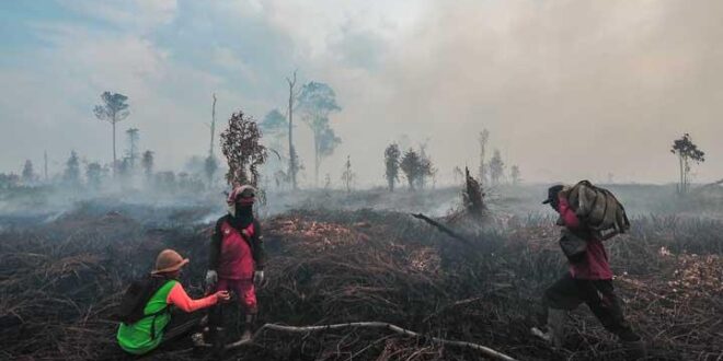 Warta Bandung Barat | Peringatan BNPB: Ancaman Ganda saat Kemarau Basah - Gabungan Bencana Semakin Membahayakan