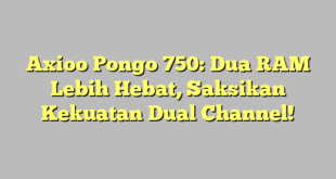 Axioo Pongo 750: Dua RAM Lebih Hebat, Saksikan Kekuatan Dual Channel!