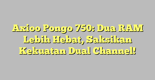 Axioo Pongo 750: Dua RAM Lebih Hebat, Saksikan Kekuatan Dual Channel!
