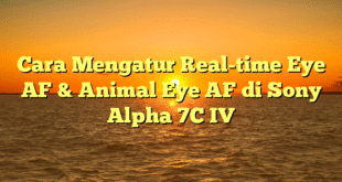Cara Mengatur Real-time Eye AF & Animal Eye AF di Sony Alpha 7C IV