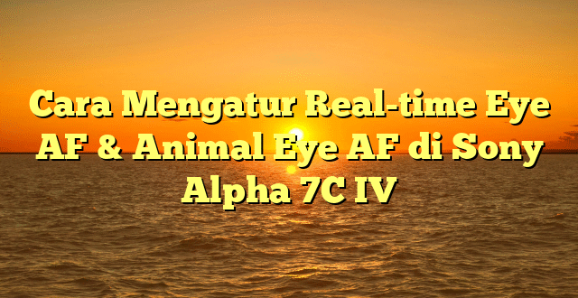 Cara Mengatur Real-time Eye AF & Animal Eye AF di Sony Alpha 7C IV