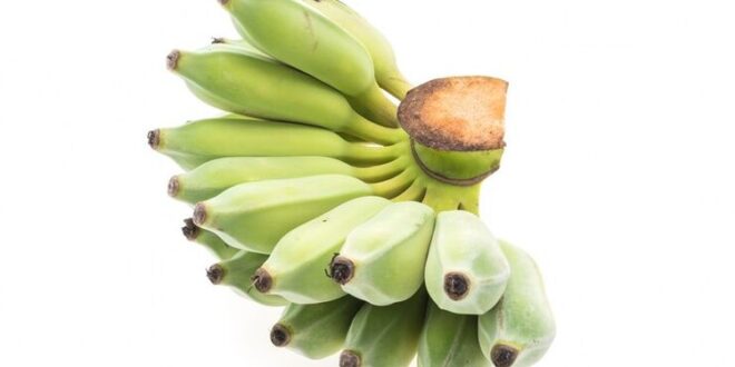Warta Bandung Barat | 9 Khasiat Luar Biasa Pisang Kepok: Buah Sederhana yang Mengejutkan untuk Kesehatan Anda